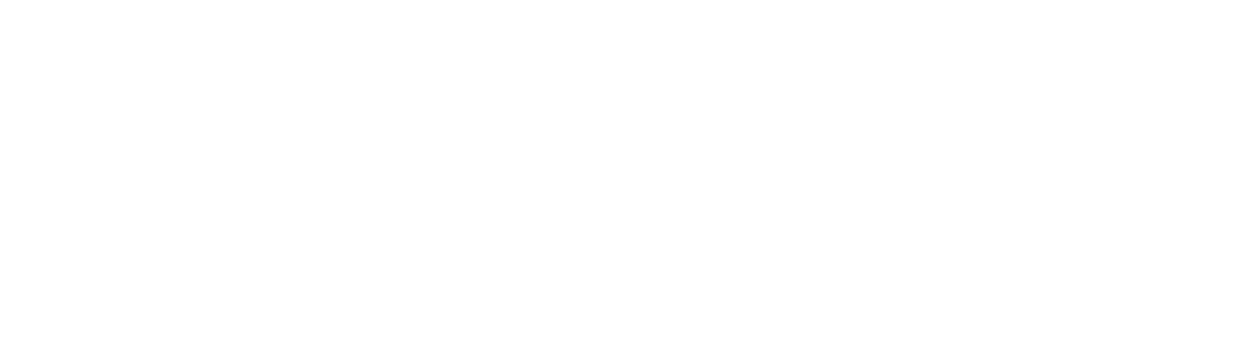 National Basketball Wives Association